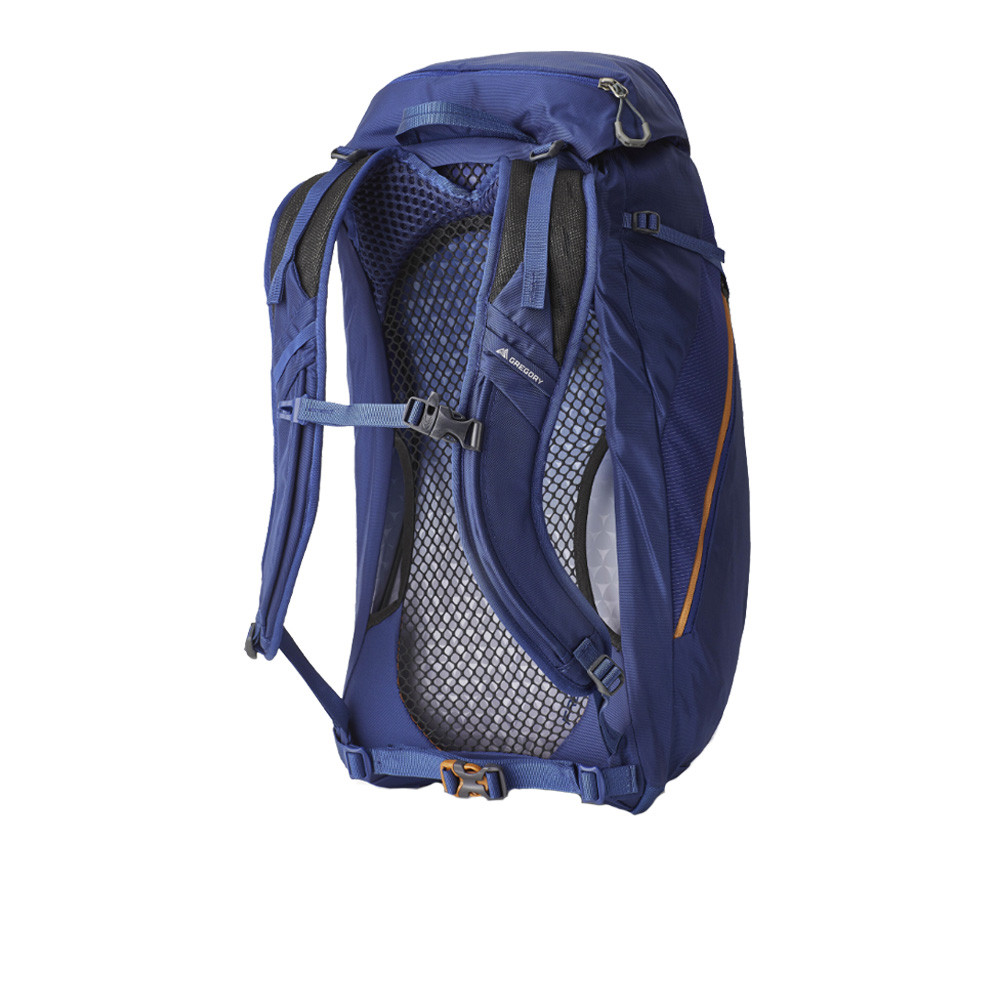 Gregory Arrio 24 Backpack