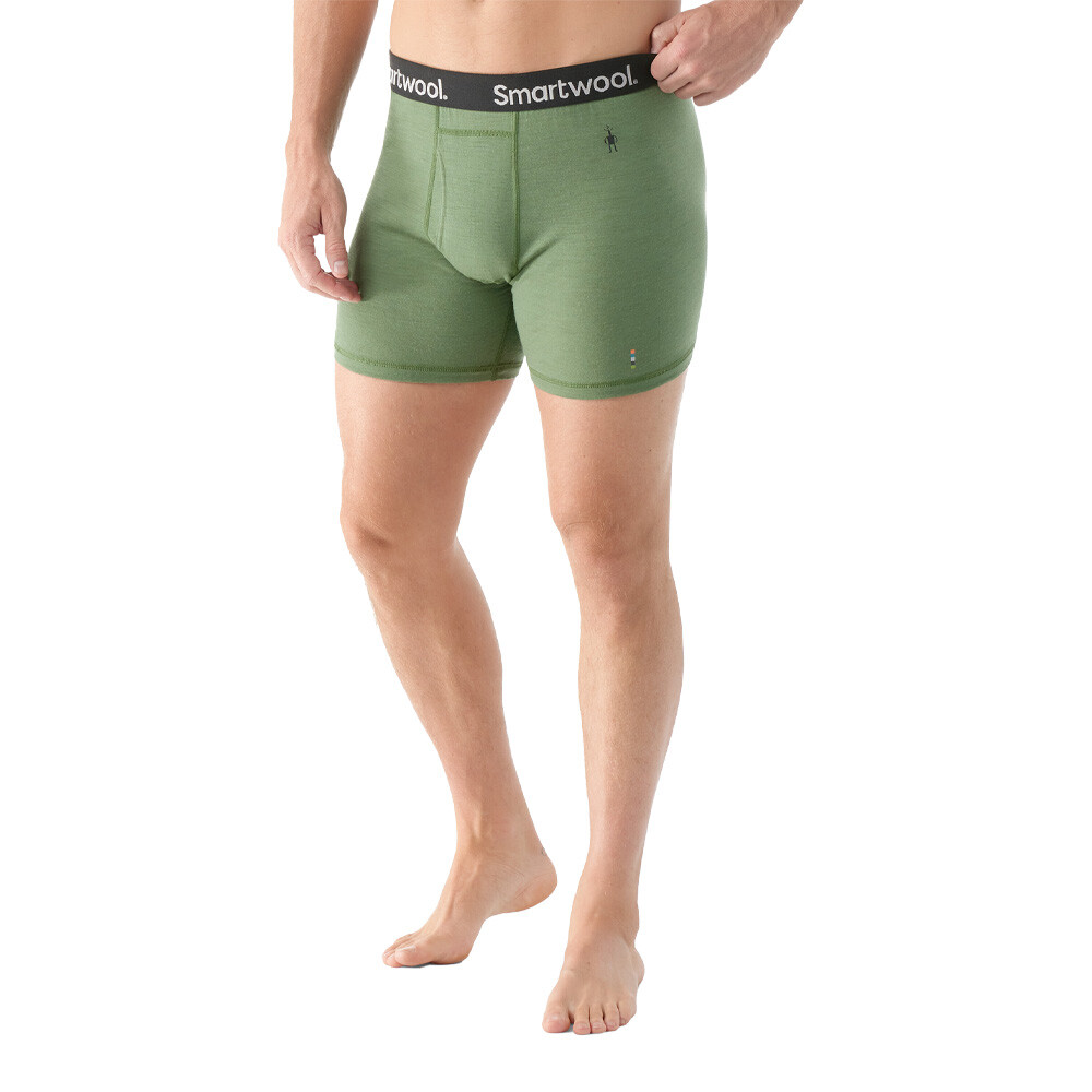 SmartWool Merino Boxer Briefs - SS25