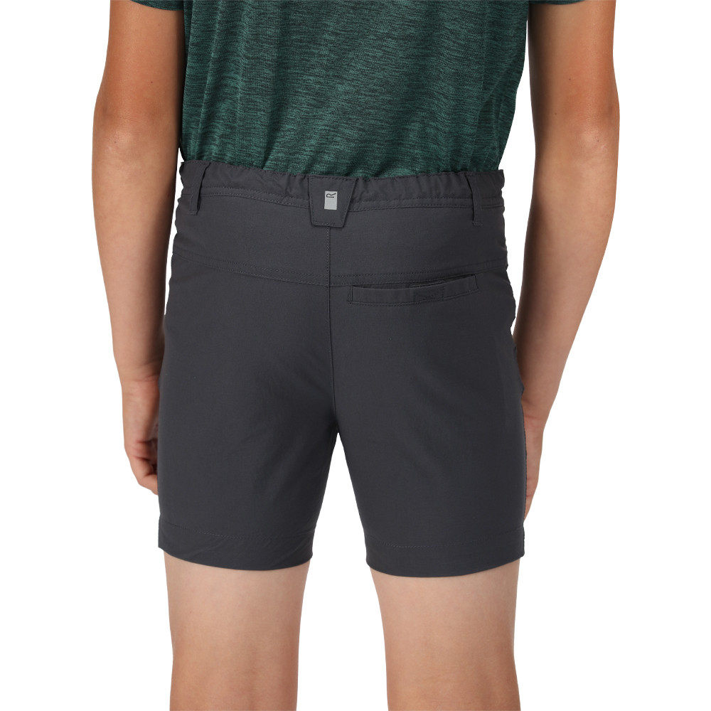 Regatta Highton Junior Walking Shorts