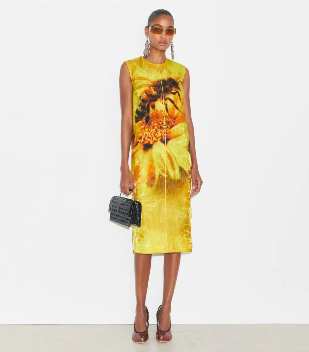 Printed Organza Dress