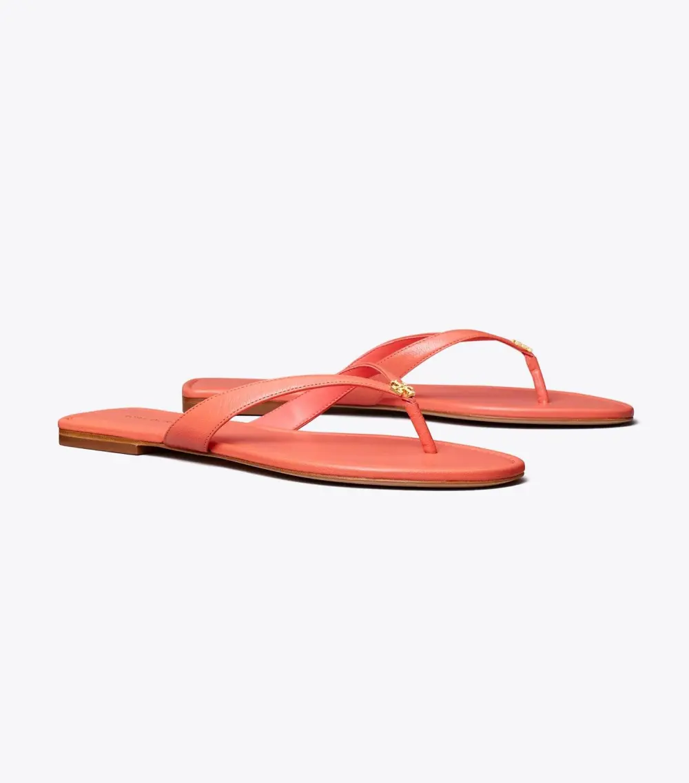 Classic Flip-Flop