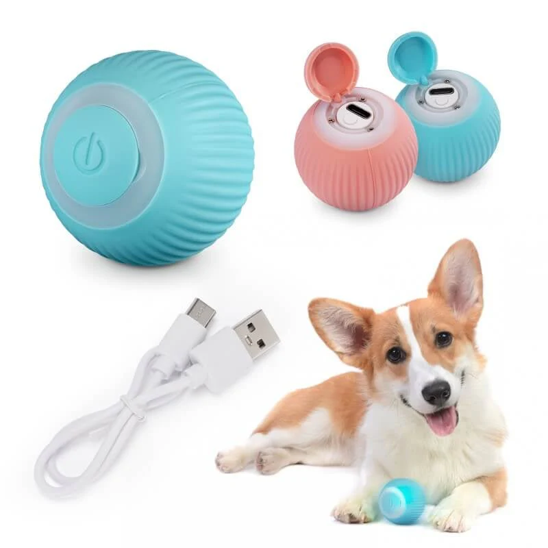 Smart Rechargeable Pet Ball