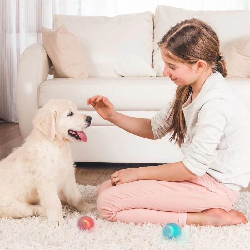 Smart Rechargeable Pet Ball