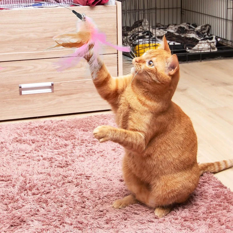 4-Pack Cat Collar Feather Toys