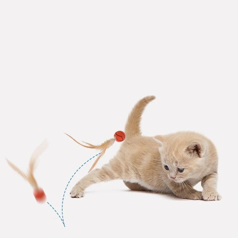 Interactive Feather Ball Toy Set for Cats