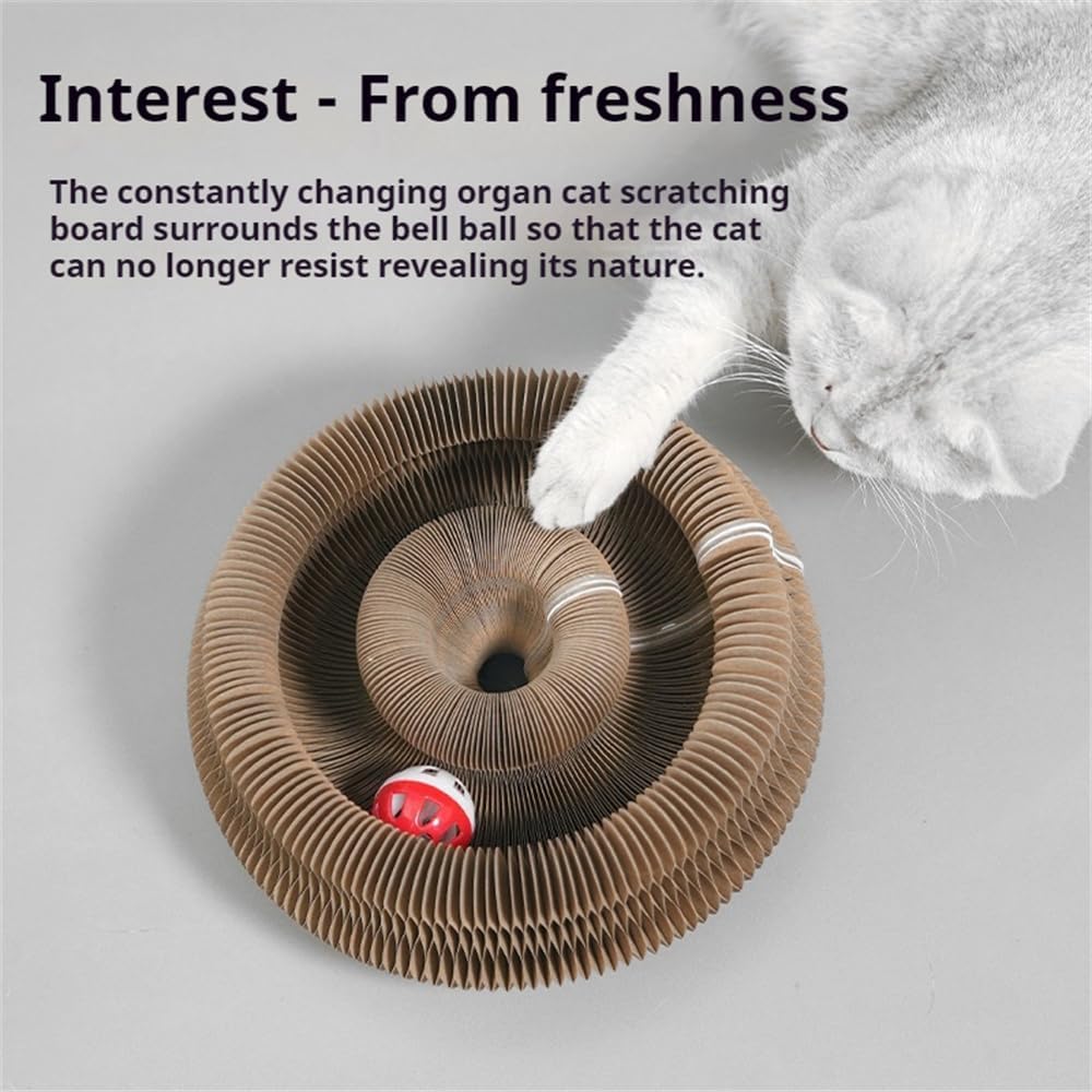 Interactive Foldable Cat Scratcher Toy