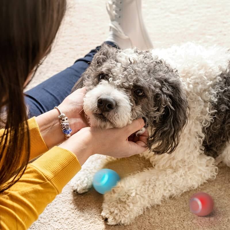 Smart Rechargeable Pet Ball