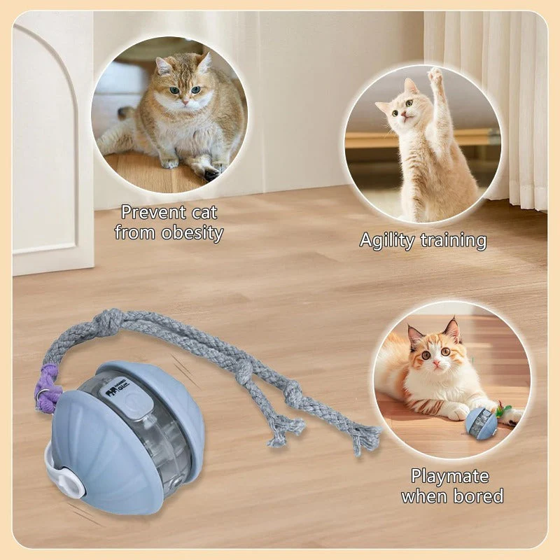 Multifunctional Smart Cat Toy Ball|Laser, Sound & Interactive Modes