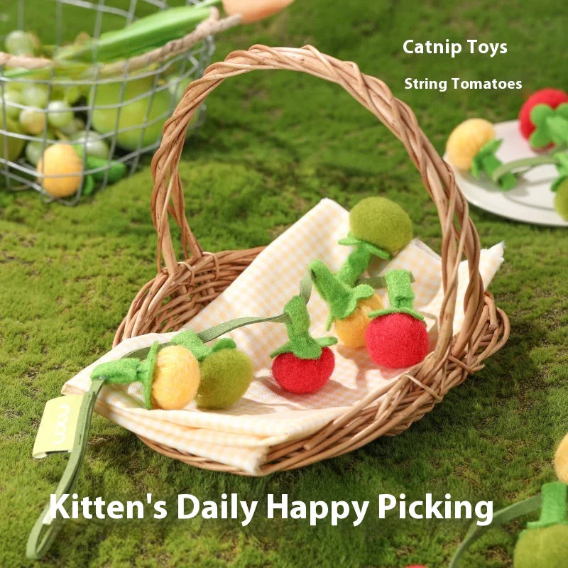 Hanging Cat Toy – Wool Felt Tomato Vine with Catnip & Bell for Interactive Play