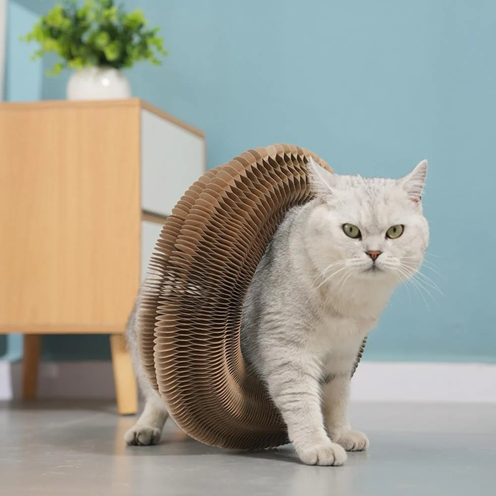 Interactive Foldable Cat Scratcher Toy