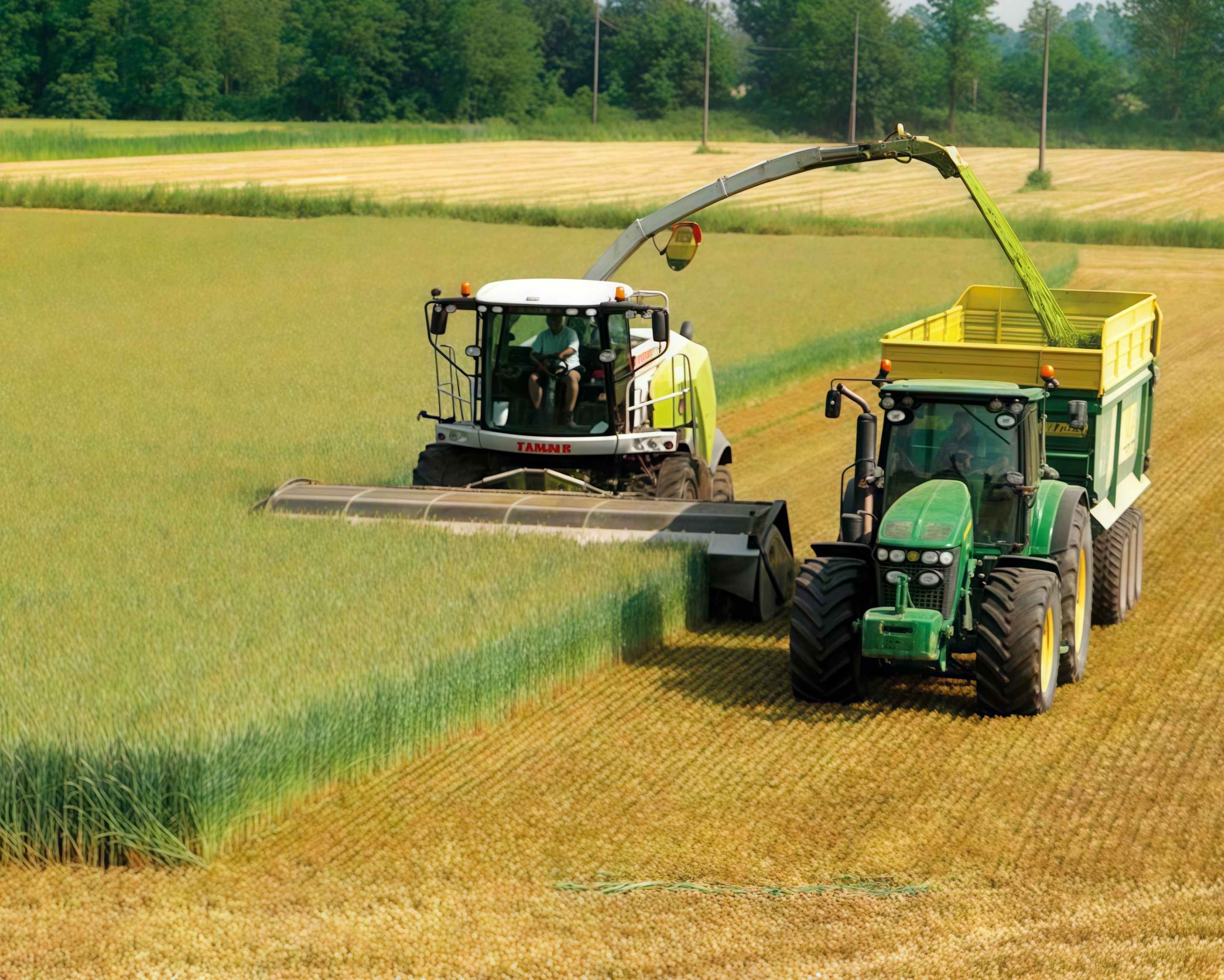 Domai MPD612 Direct Disc Header for Claas Jaguar