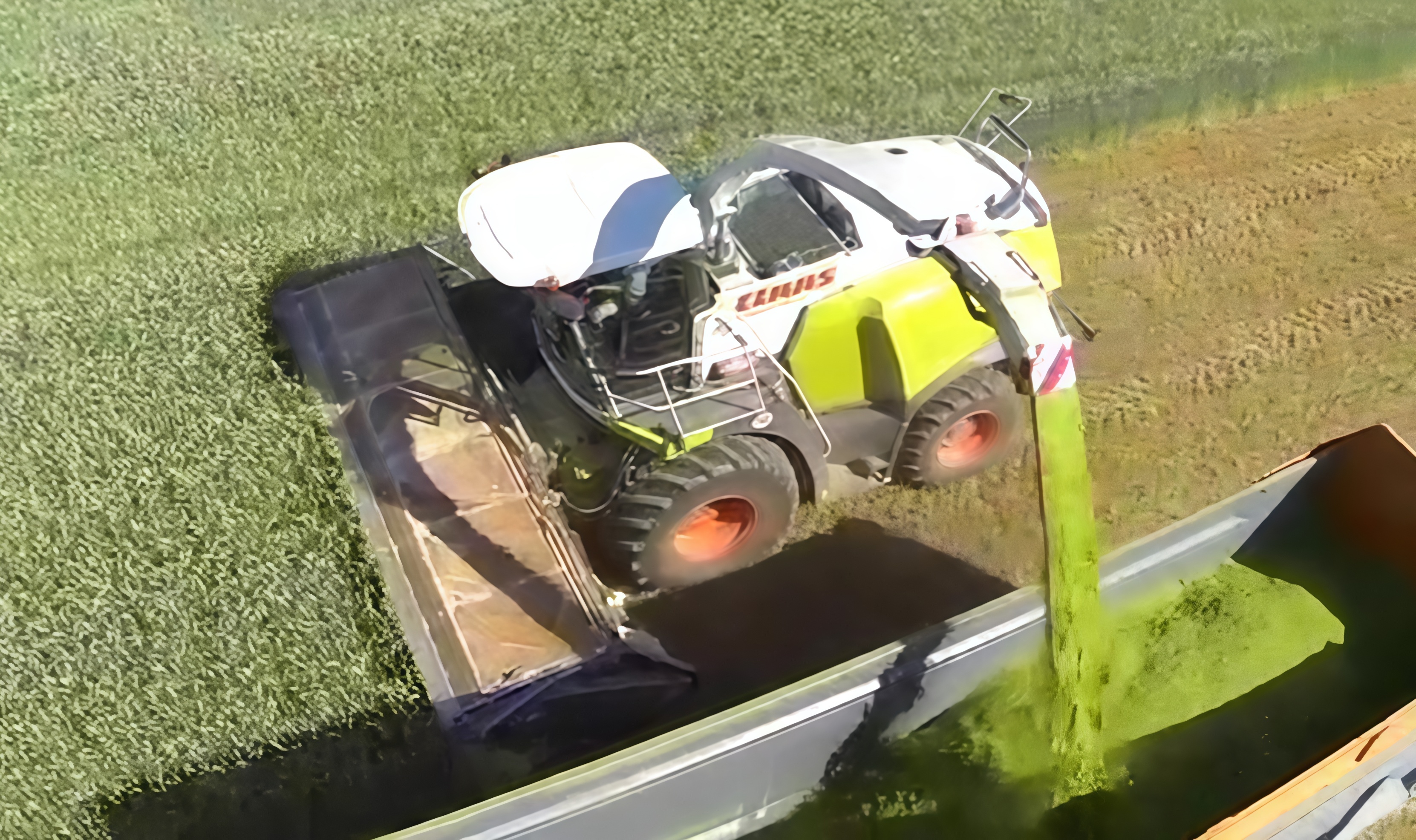 Domai MPD612 Direct Disc Header for Claas Jaguar