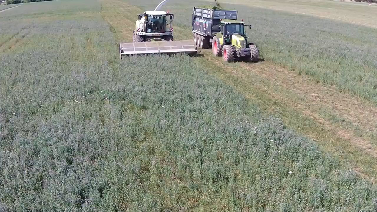 Domai MPD612 Direct Disc Header for Claas Jaguar