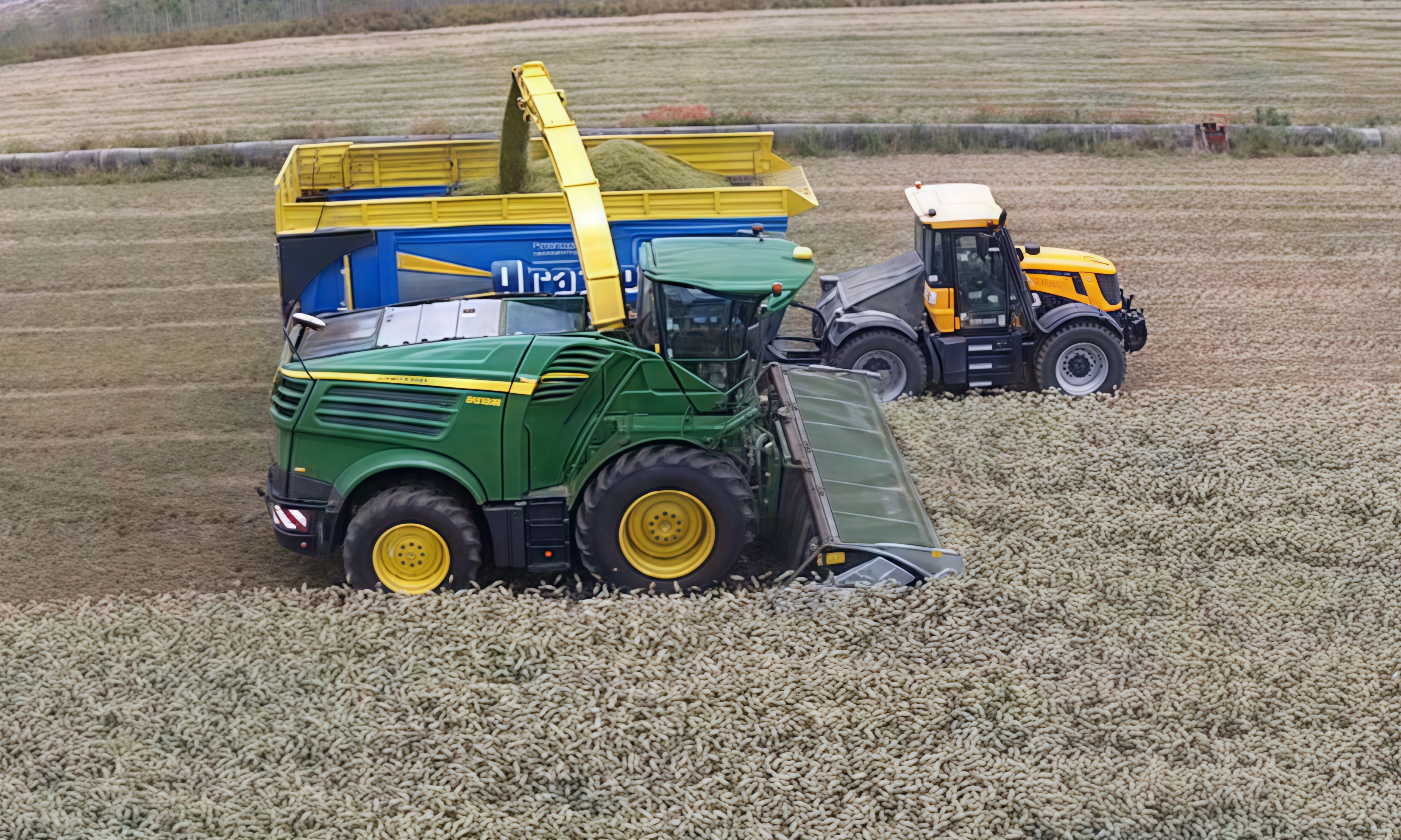 Domai MPD612 Direct Disc Header for Claas Jaguar