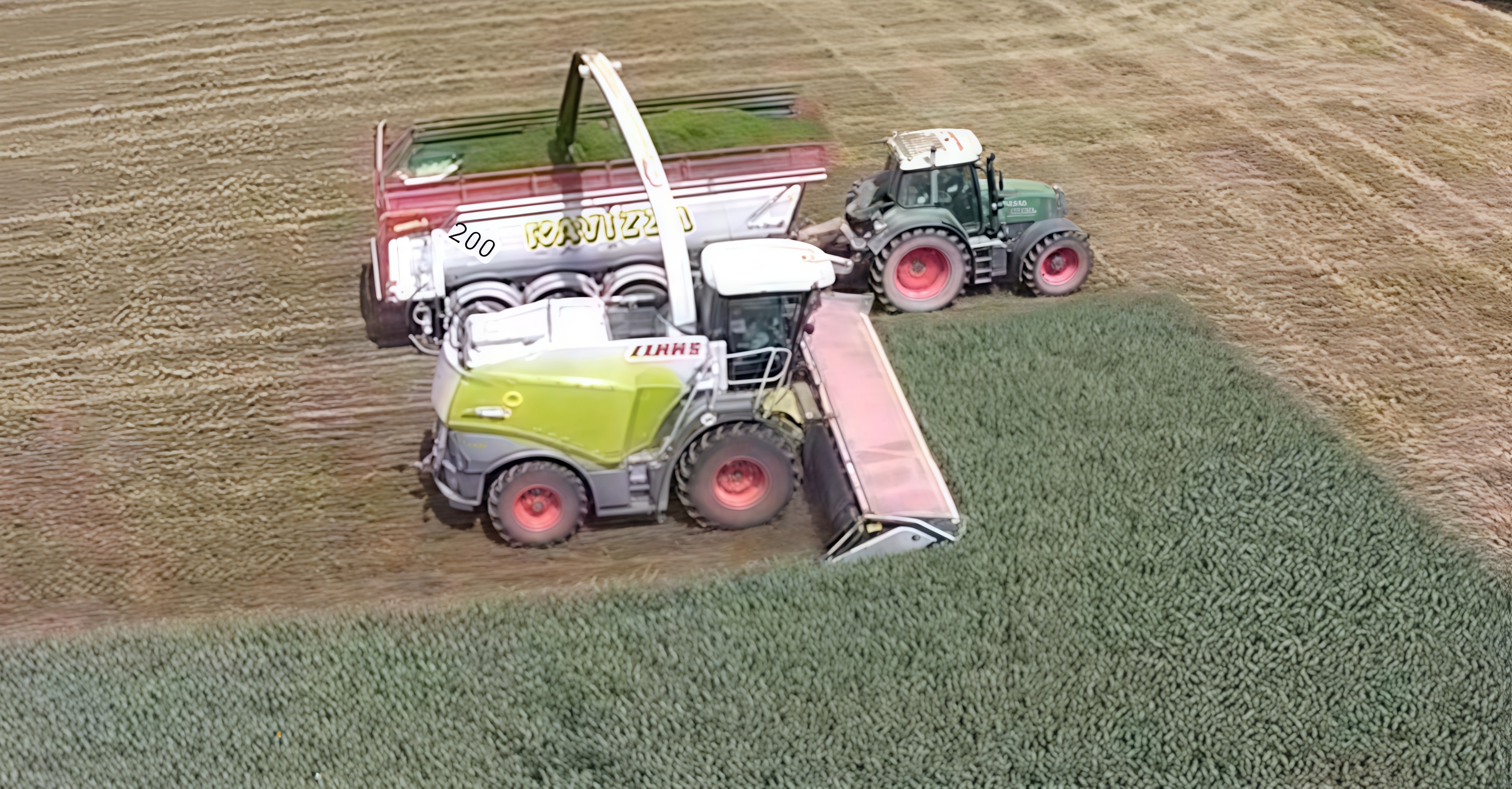 Domai MPD612 Direct Disc Header for Claas Jaguar