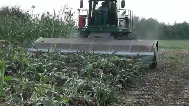 Domai MPD612 Direct Disc Header for Claas Jaguar