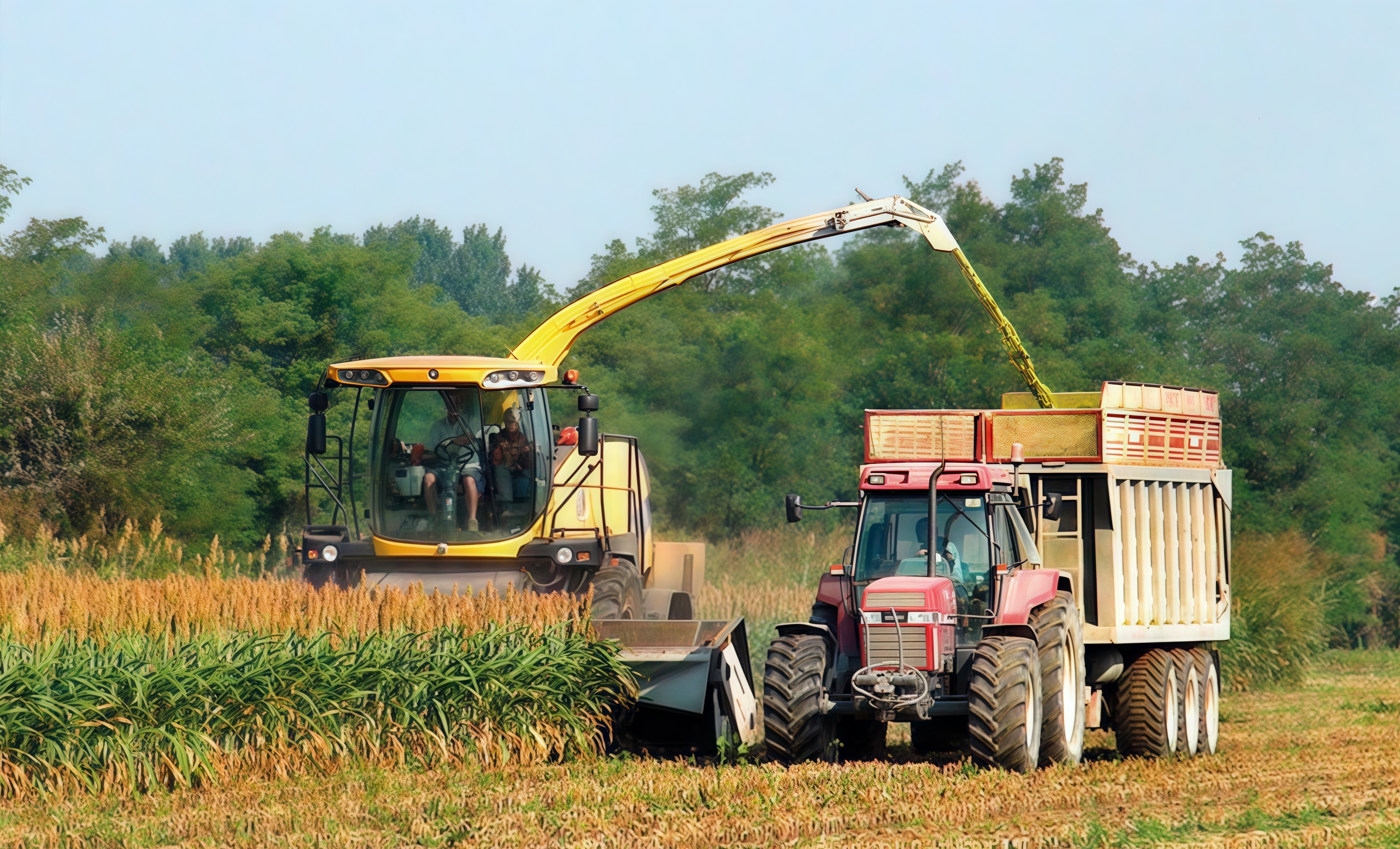 Domai MPD612 Direct Disc Header for Claas Jaguar