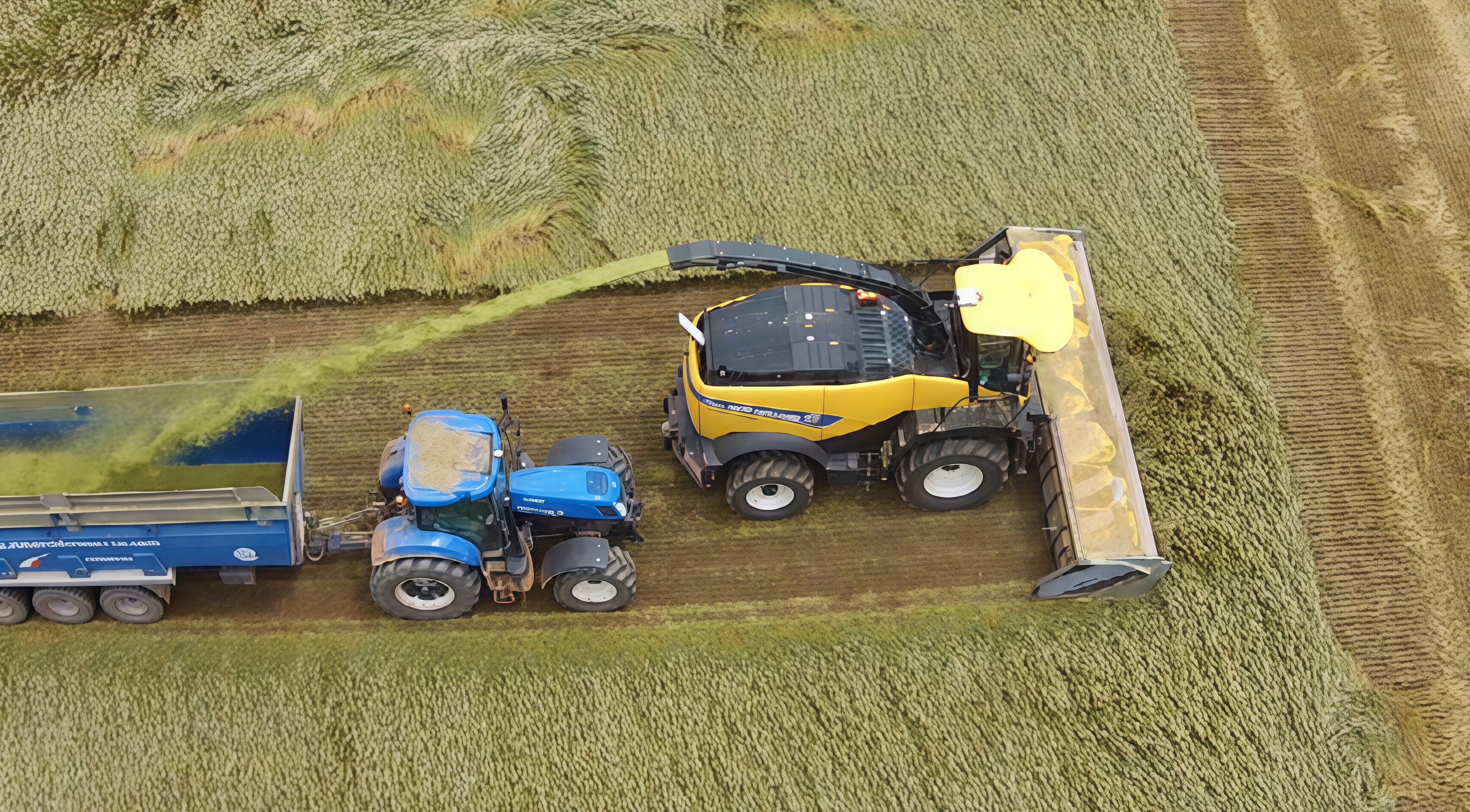 Domai MPD612 Direct Disc Header for Claas Jaguar