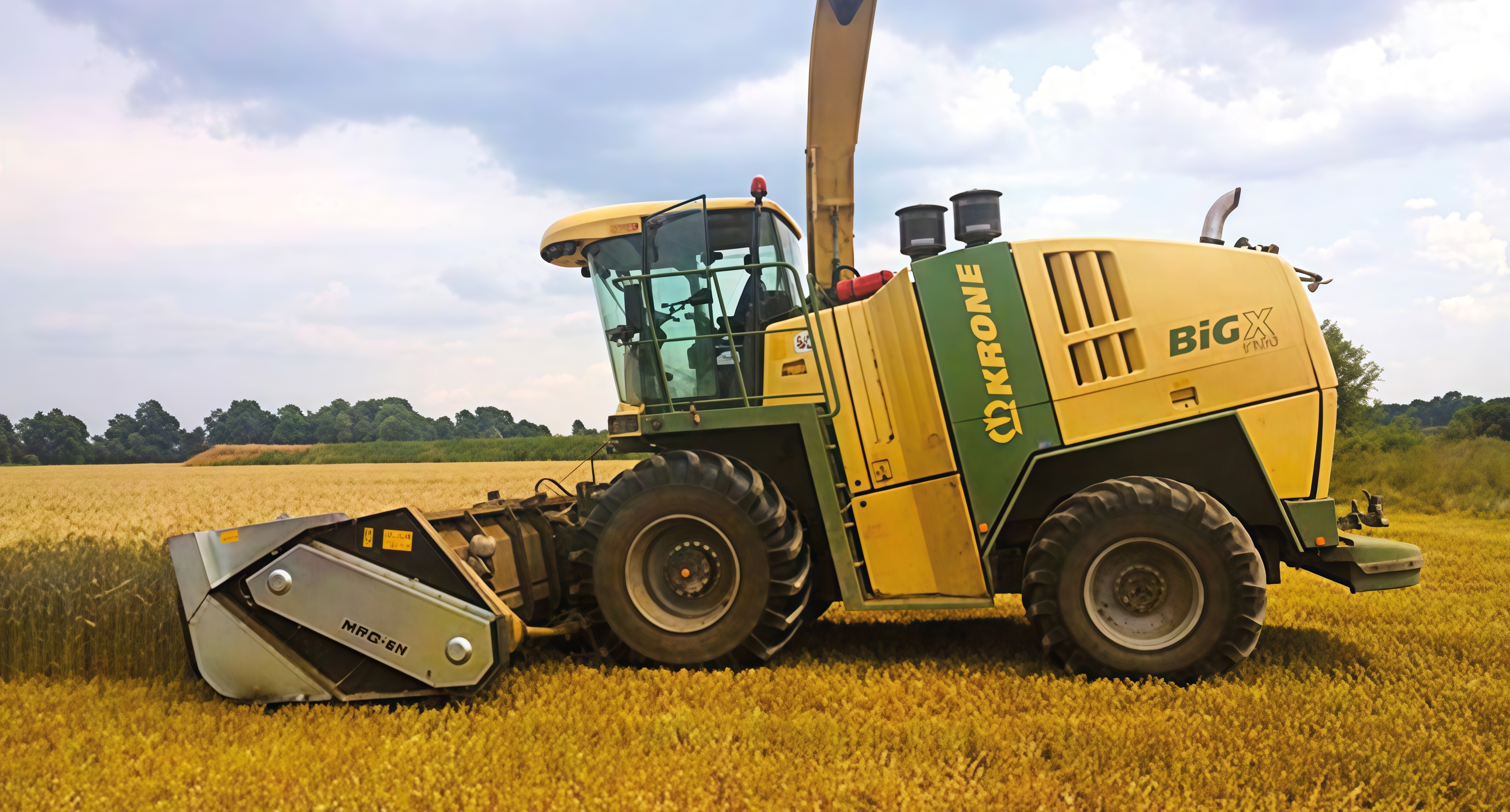 Domai MPD612 Direct Disc Header for Claas Jaguar