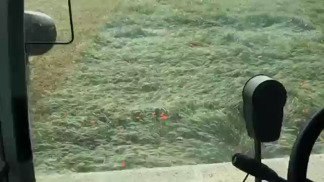 Domai MPD612 Direct Disc Header for Claas Jaguar