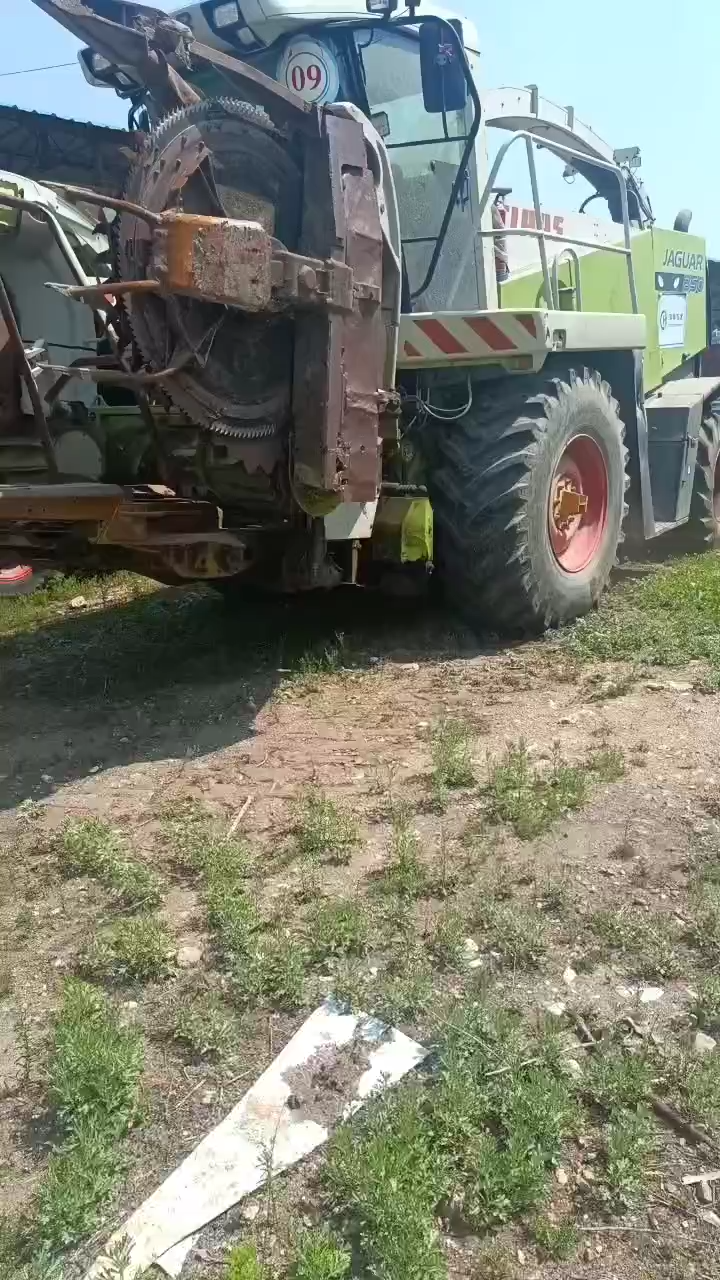 Claas Jaguar 850 with 2232 hours of drum,  303 KW, ready for field work, we can offer dozens of them