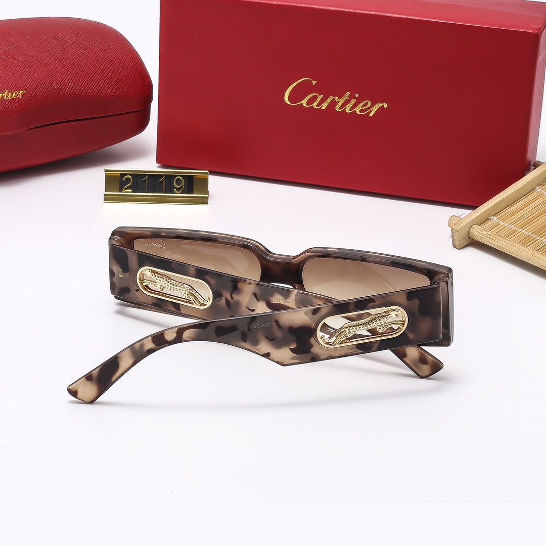 C design Runaway Series Fashion Sunglasses 2119