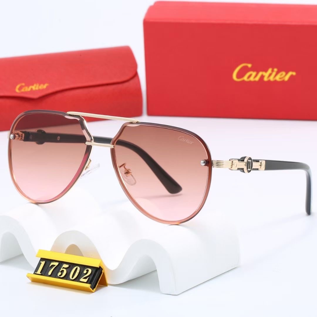 C design Fashion new sunglasses 17502