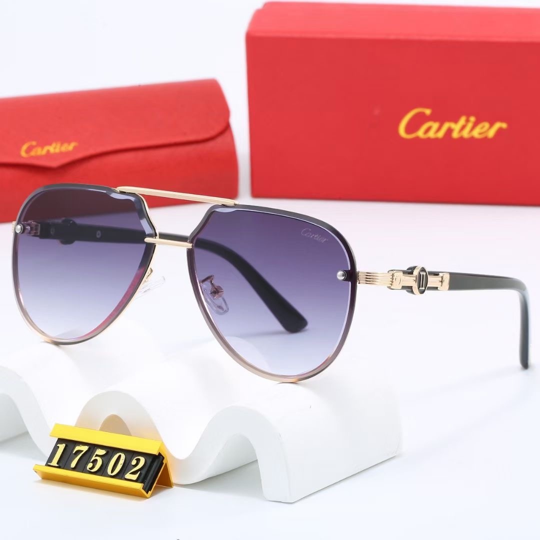 C design Fashion new sunglasses 17502