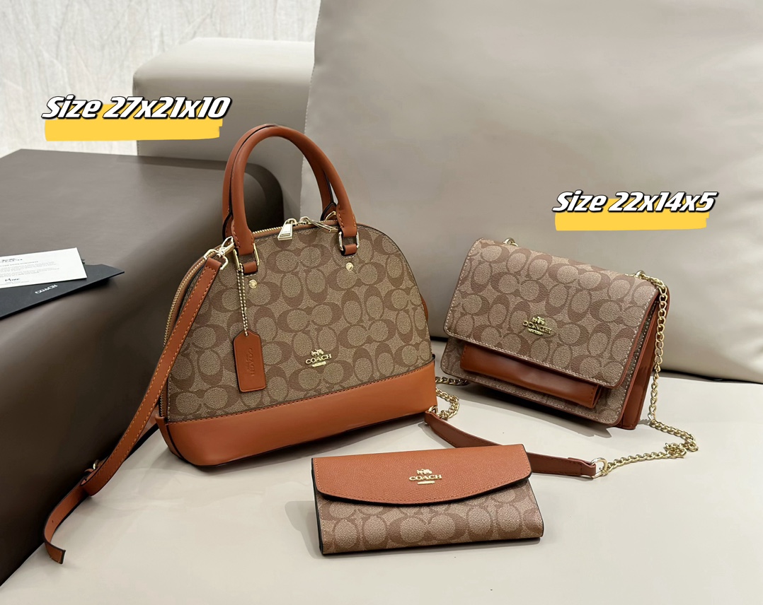 Coach Bag Super combination Sale