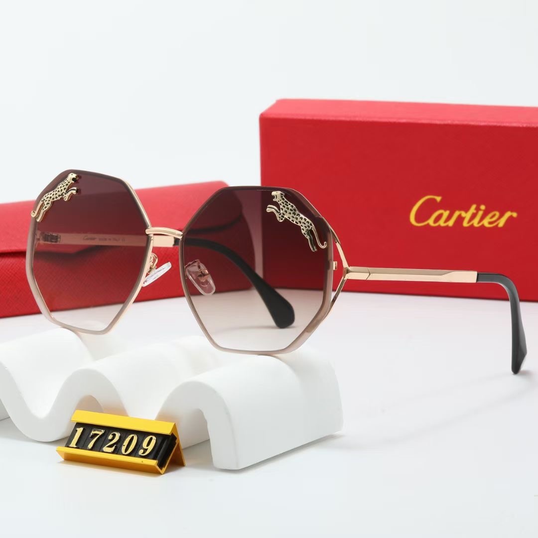 C design Fashion new sunglasses 17209