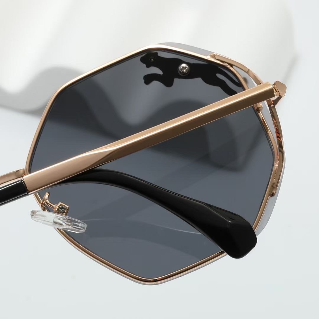 C design Fashion new sunglasses 17209
