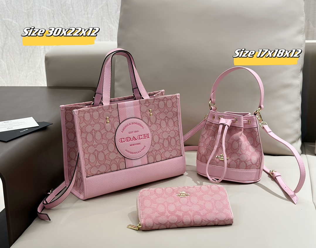 Coach Bag Super combination Sale