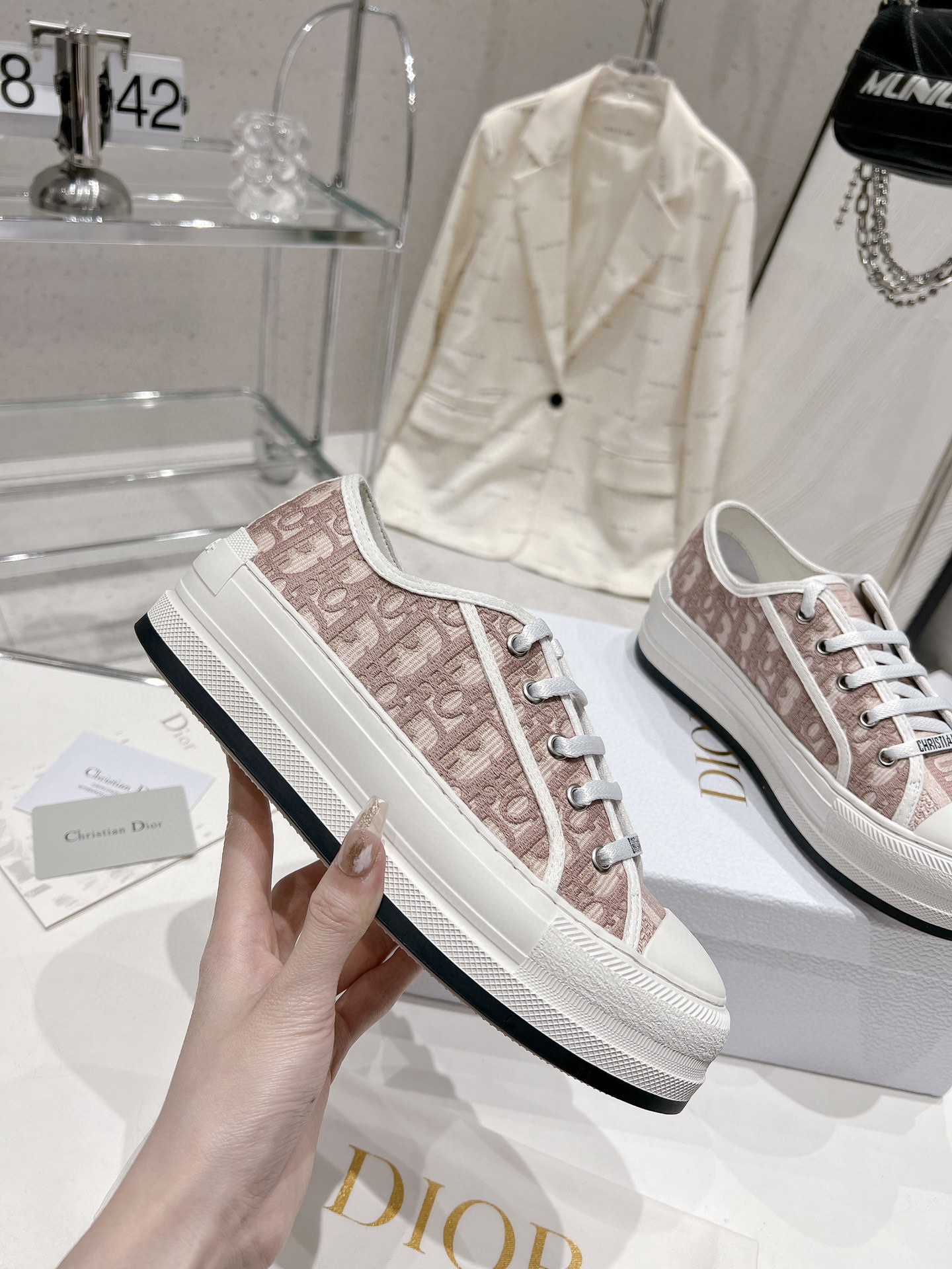 Dior 2024 Walk'n Series Embroidered Platform Sneakers