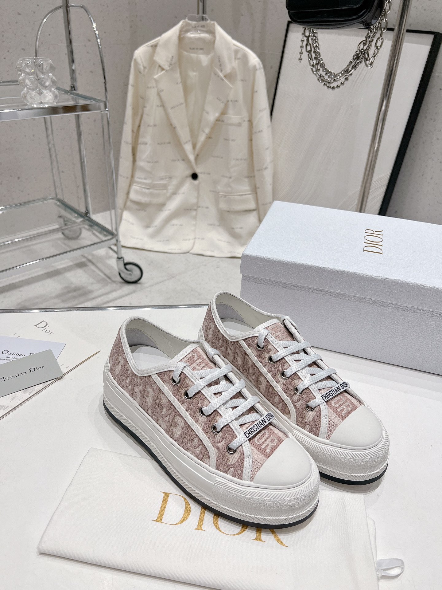 Dior 2024 Walk'n Series Embroidered Platform Sneakers