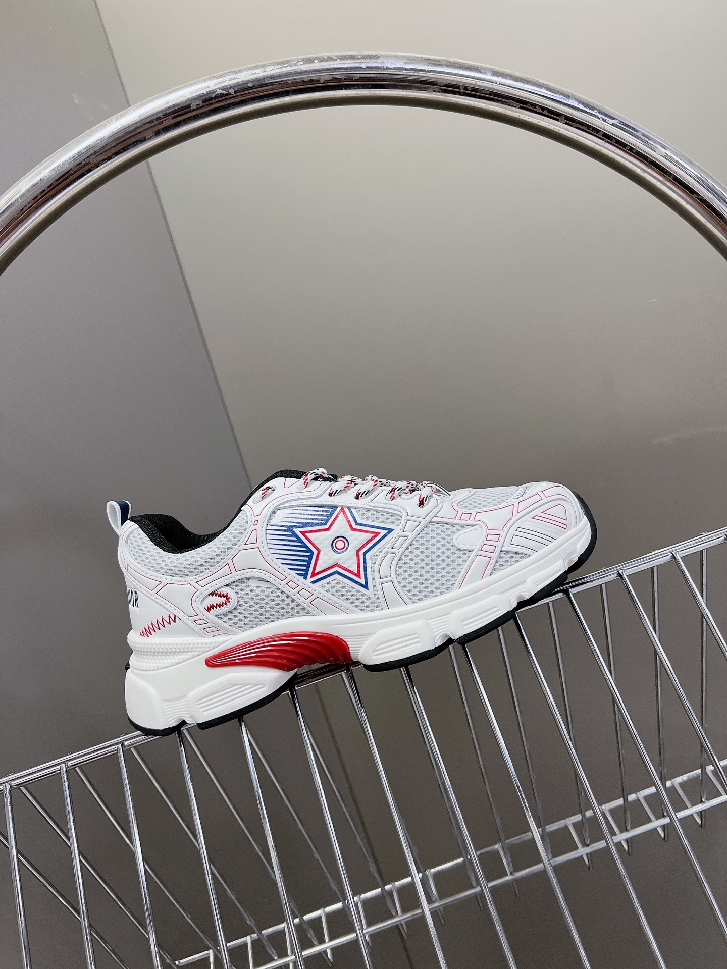 Dior Chrono Sneakers Women