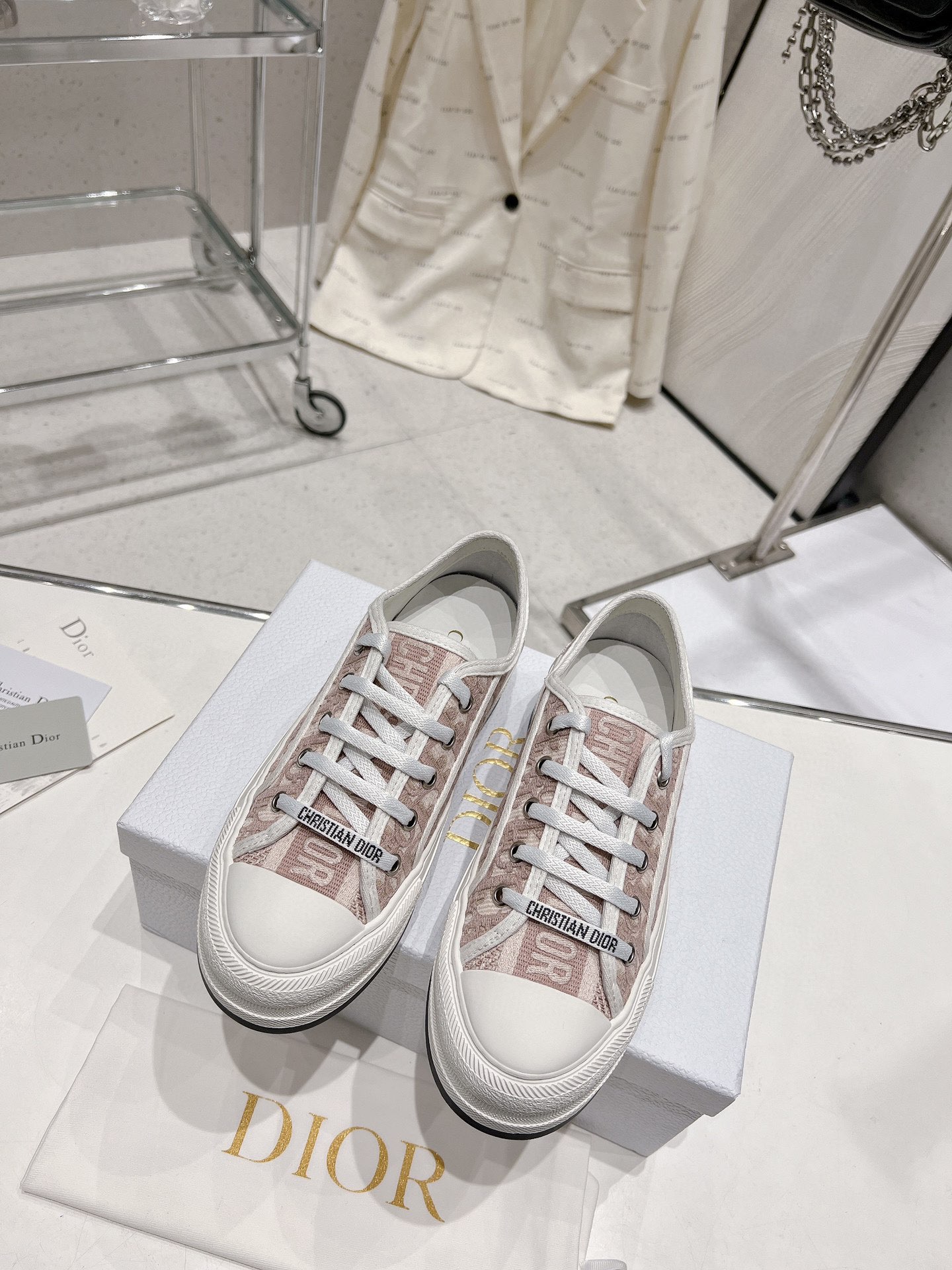 Dior 2024 Walk'n Series Embroidered Platform Sneakers