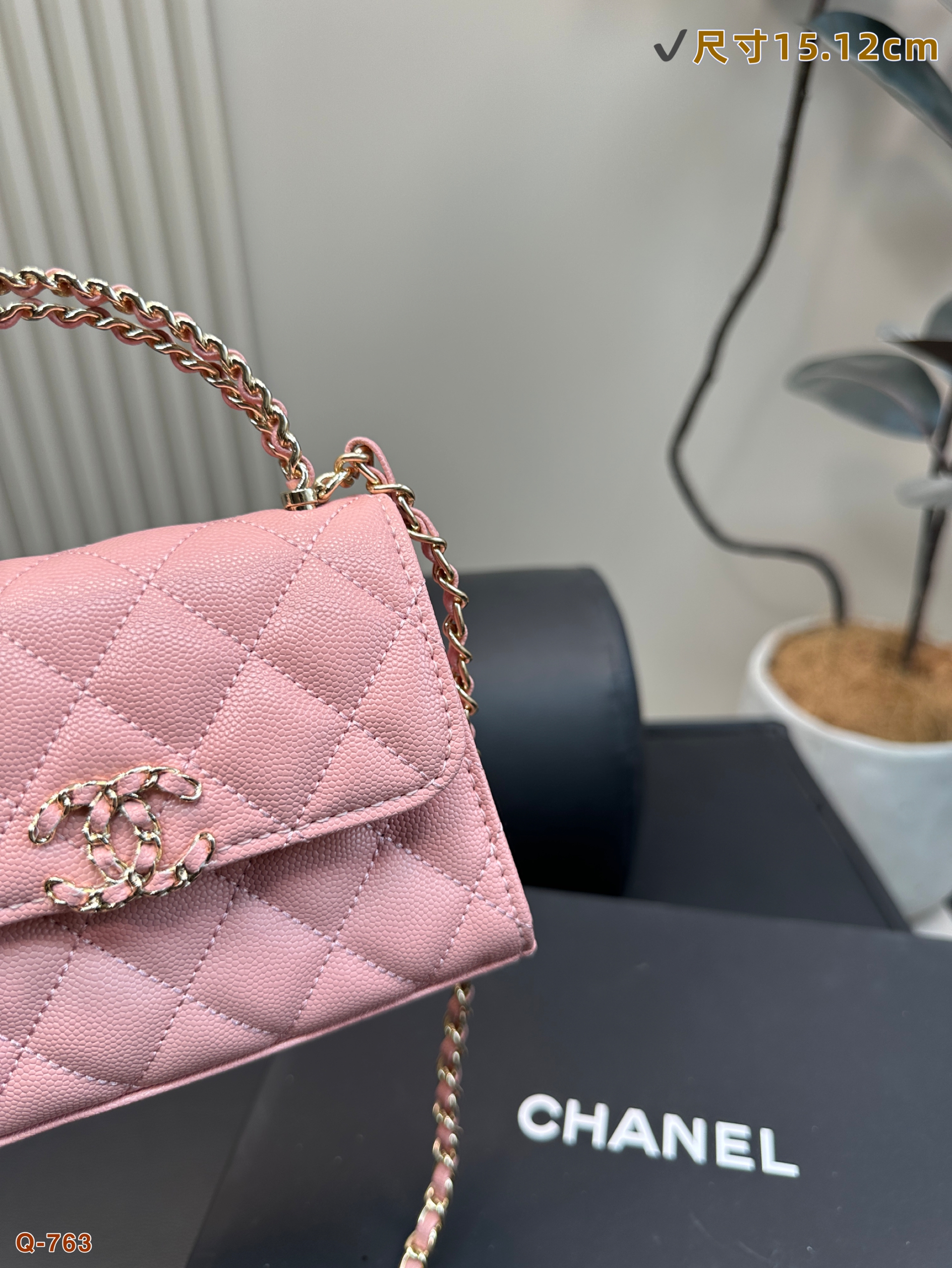 C design 23p kelly bag