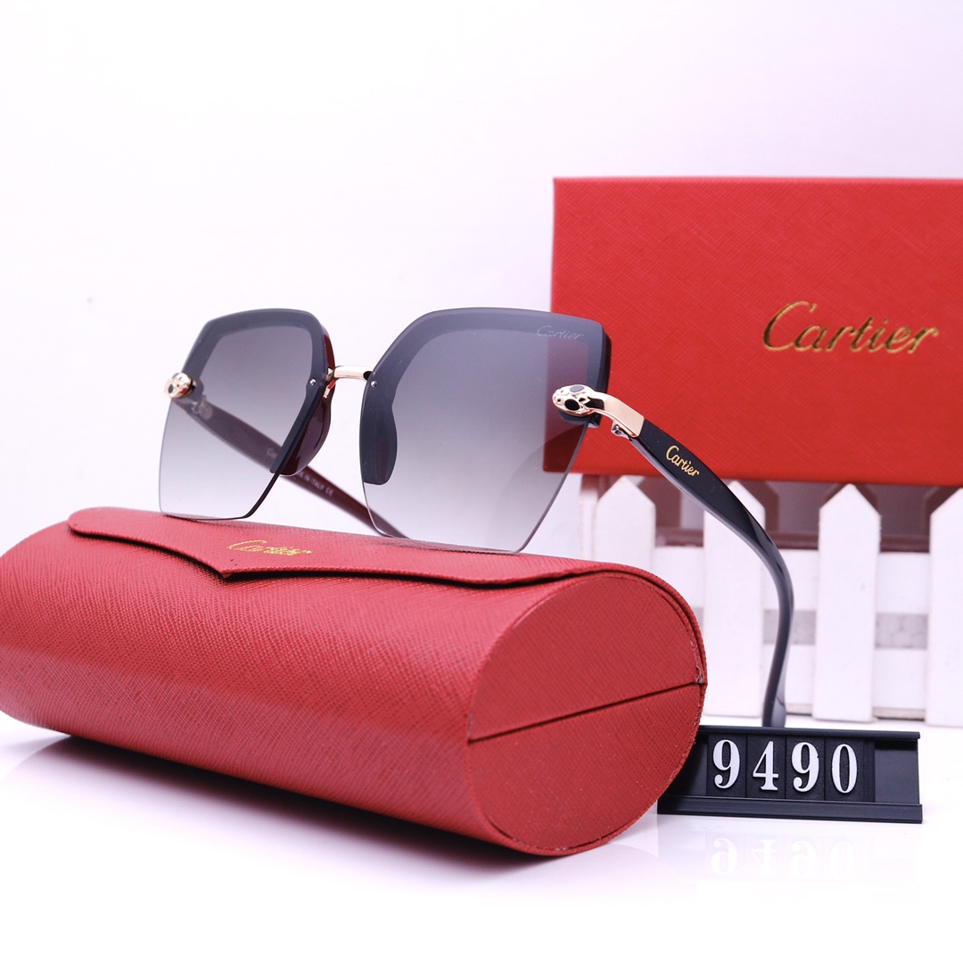 C glasses 9490