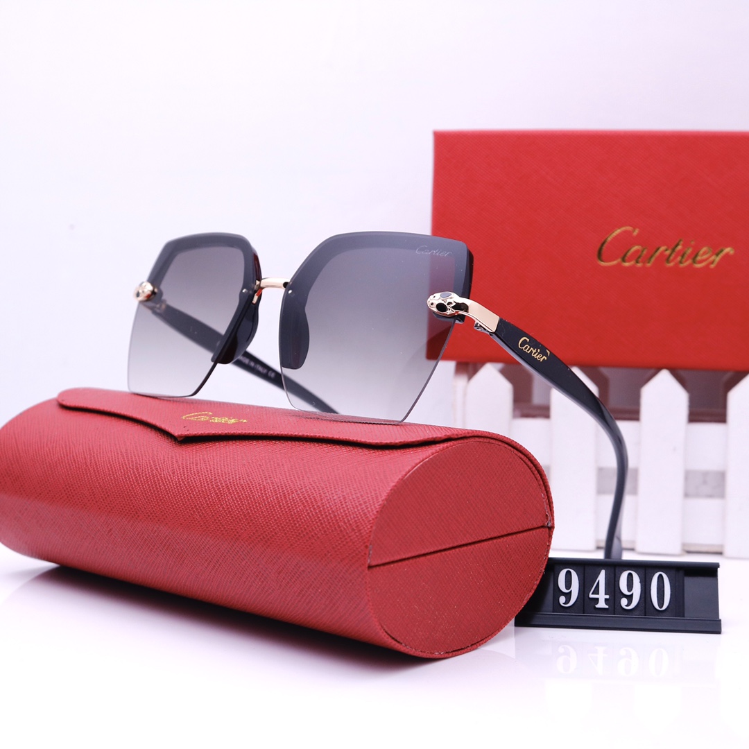 C glasses 9490
