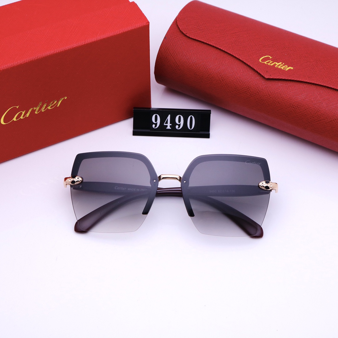 C glasses 9490