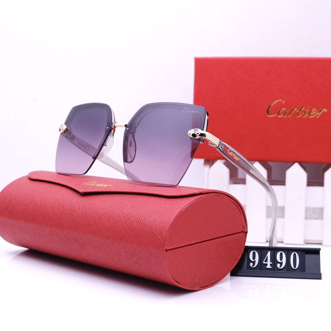 C glasses 9490