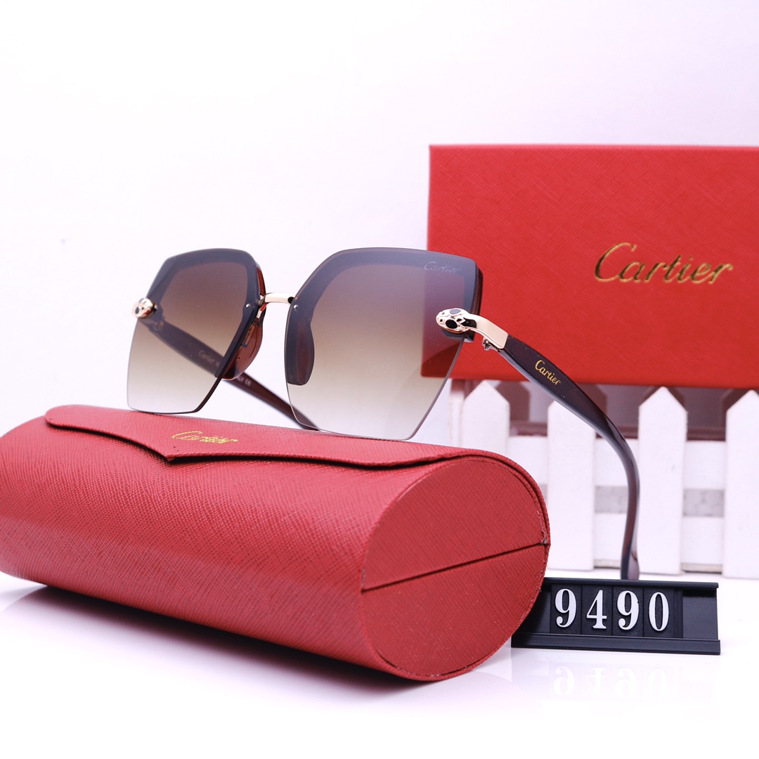 C glasses 9490