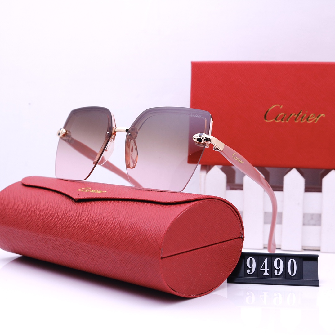 C glasses 9490