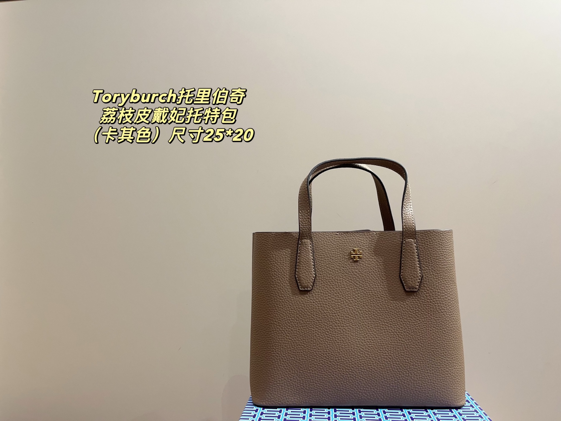 T-design pebbled leather Princess Diana tote