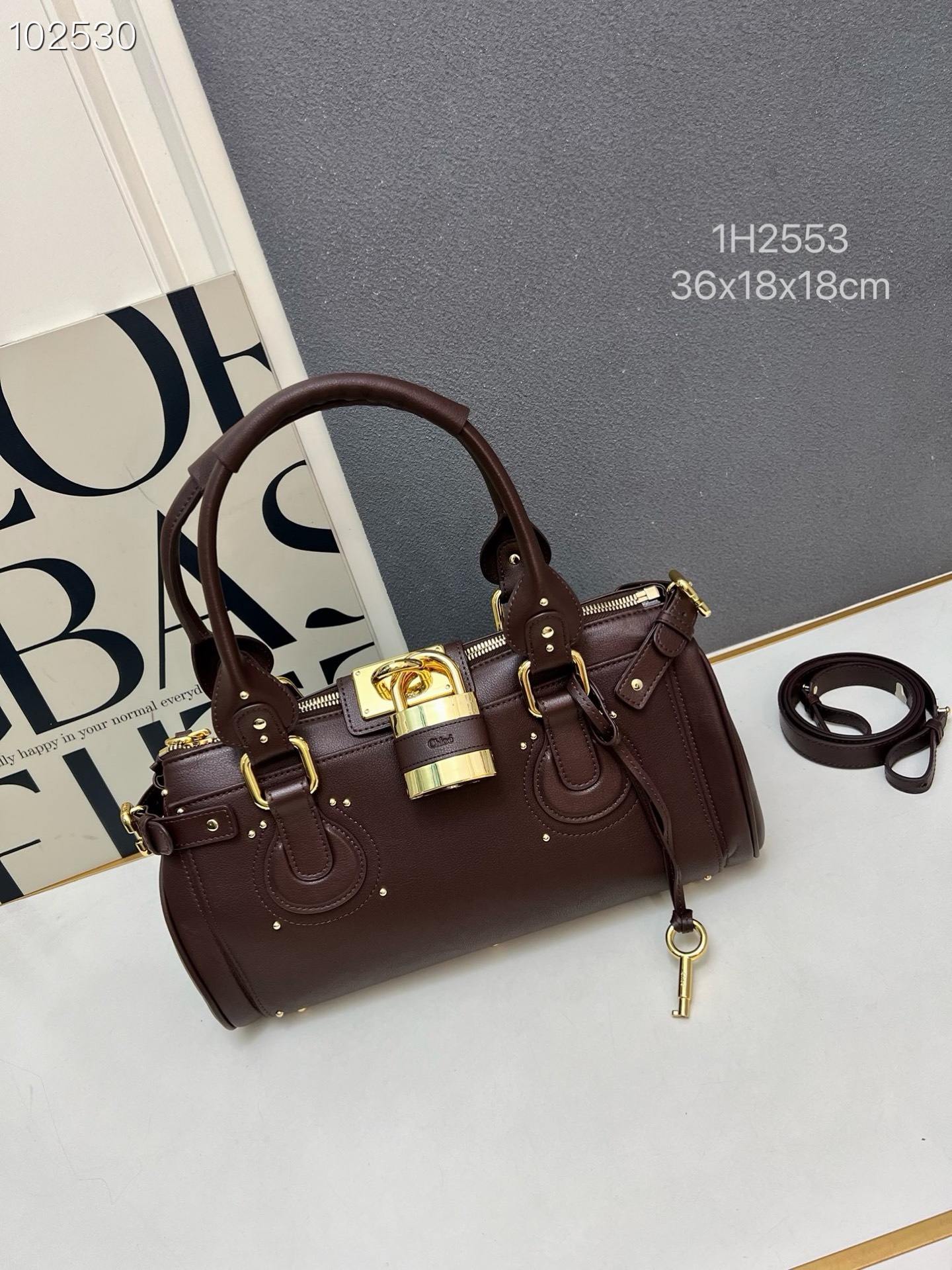 Chloe 2026 New Paddington bag in leather