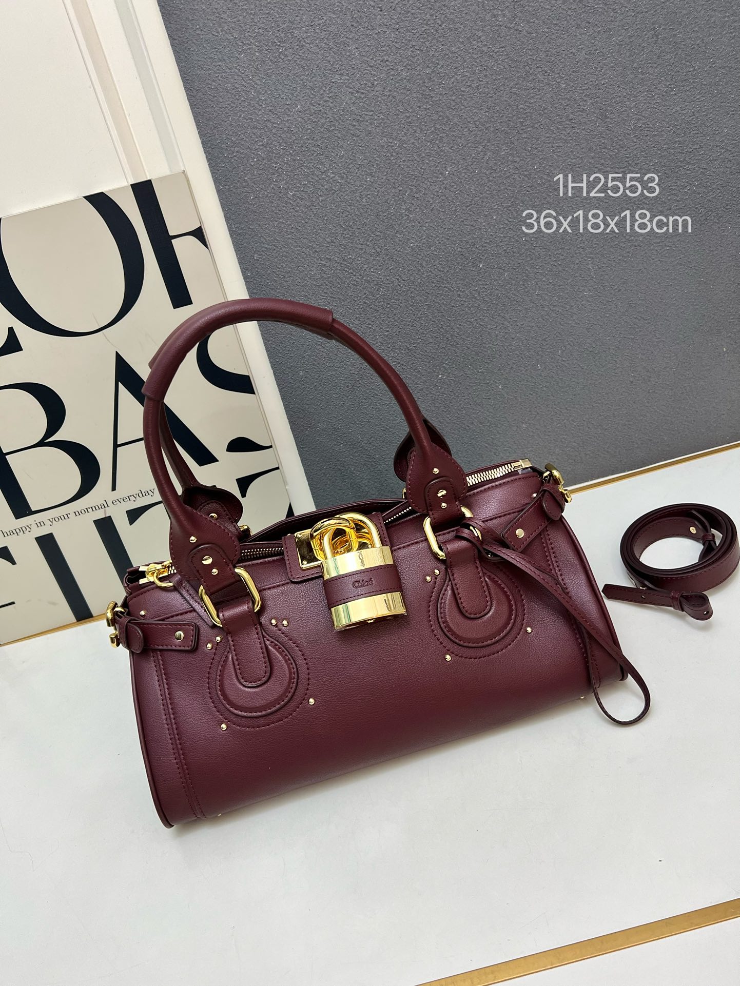 Chloe 2026 New Paddington bag in leather