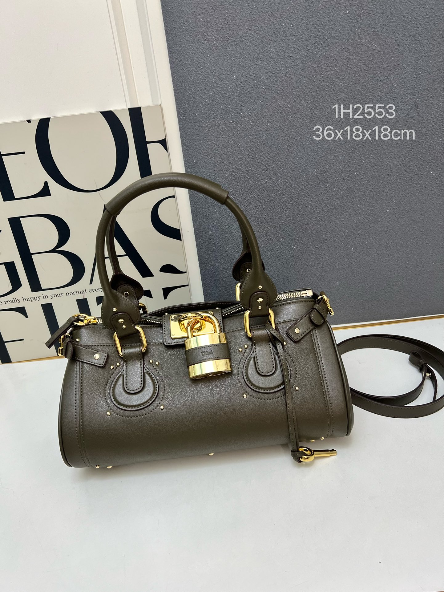 Chloe 2026 New Paddington bag in leather