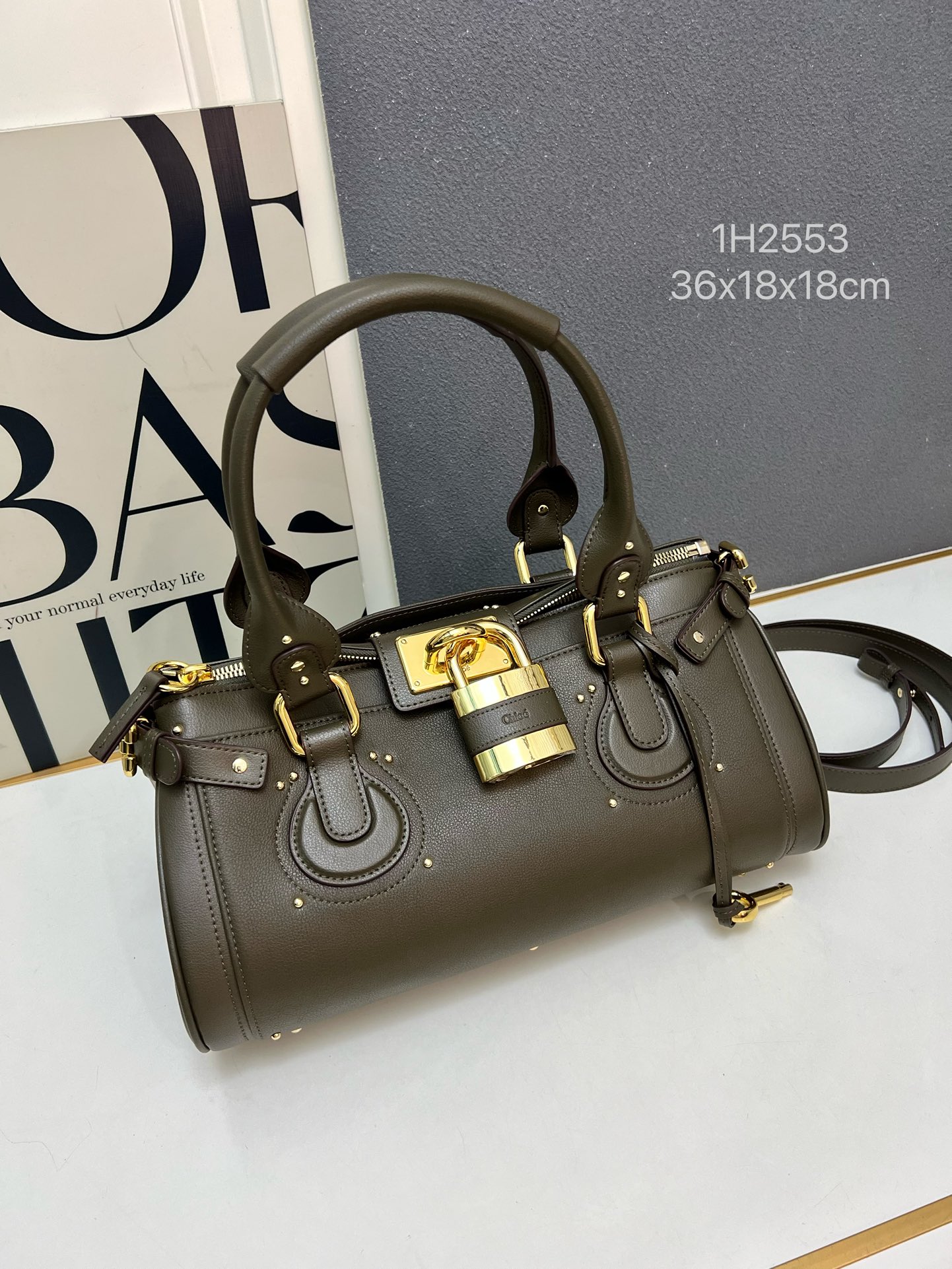 Chloe 2026 New Paddington bag in leather