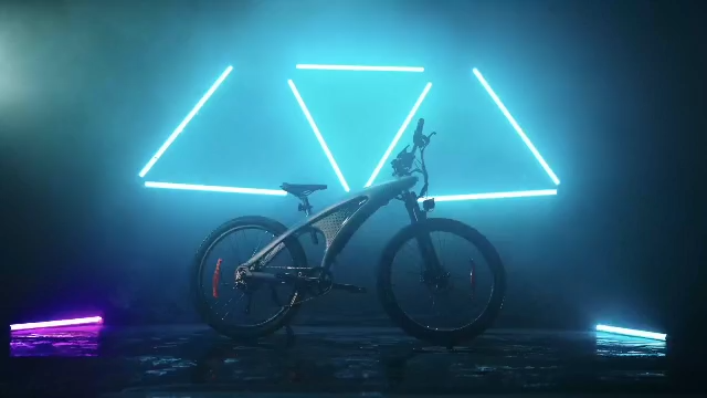 E-BIKE Q5