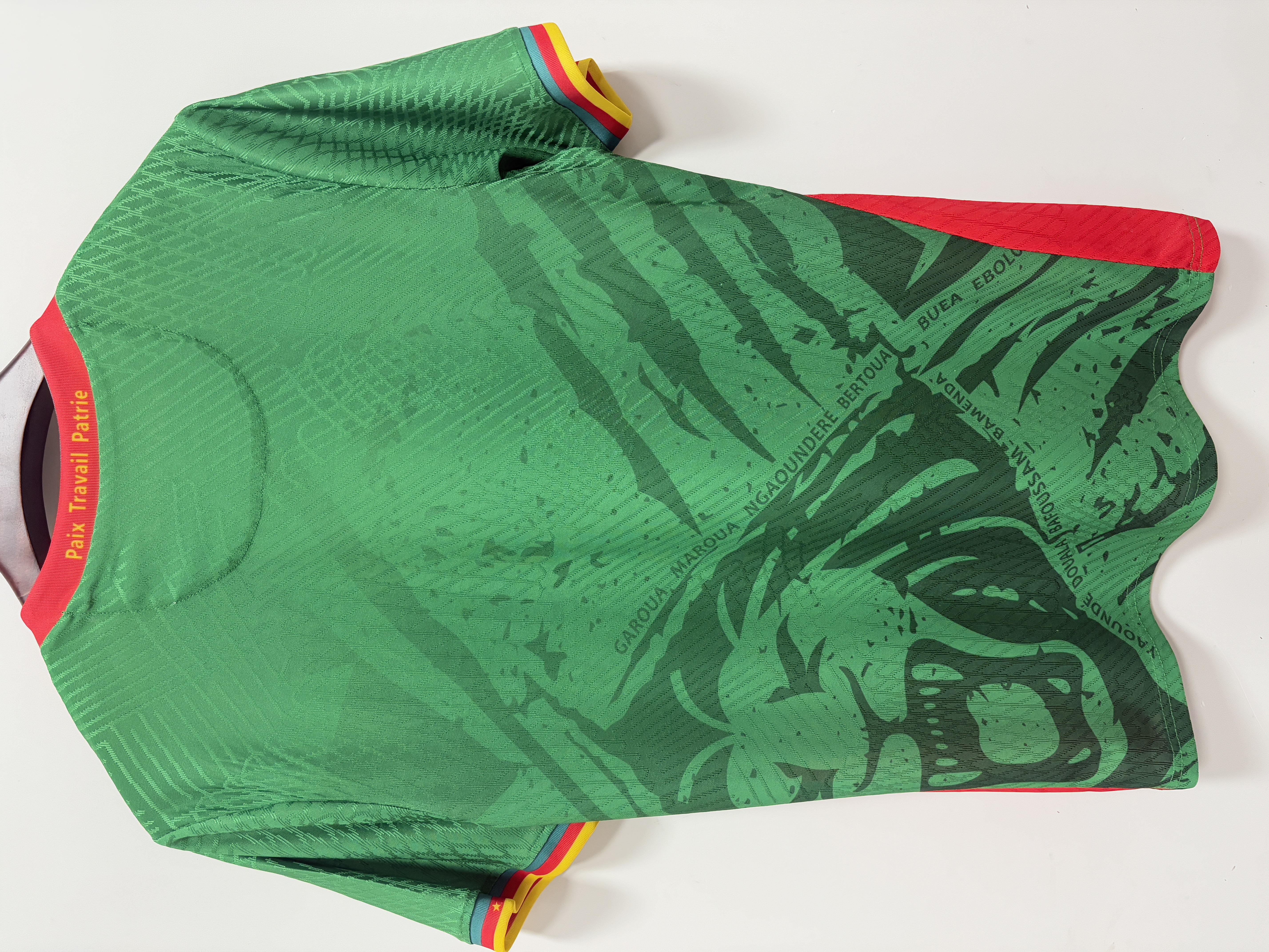 Cameroon national team jersey 25-26 season